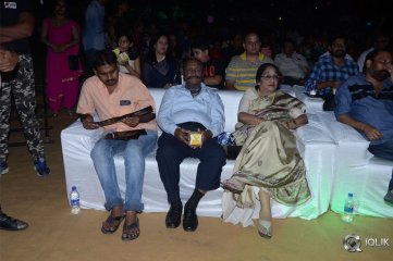 Naa Peru Surya Naa Illu India Pre Release Event Photos